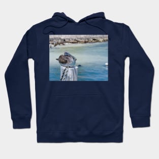 Pelican Bay Hoodie